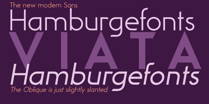 Viata Font Family preview image 2