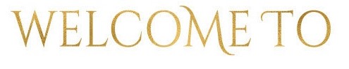 What is this font with these stylistic addistions