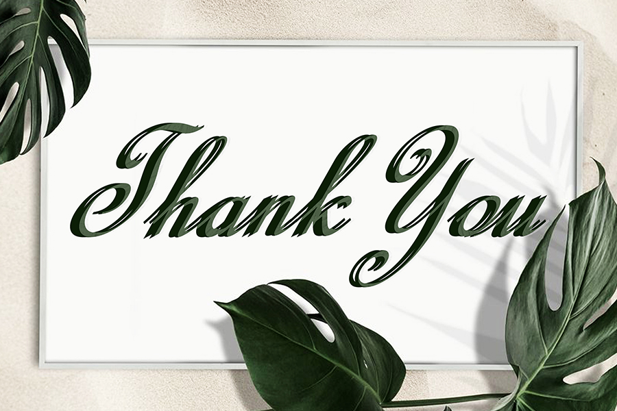 Calligraphy Script Font preview image 5