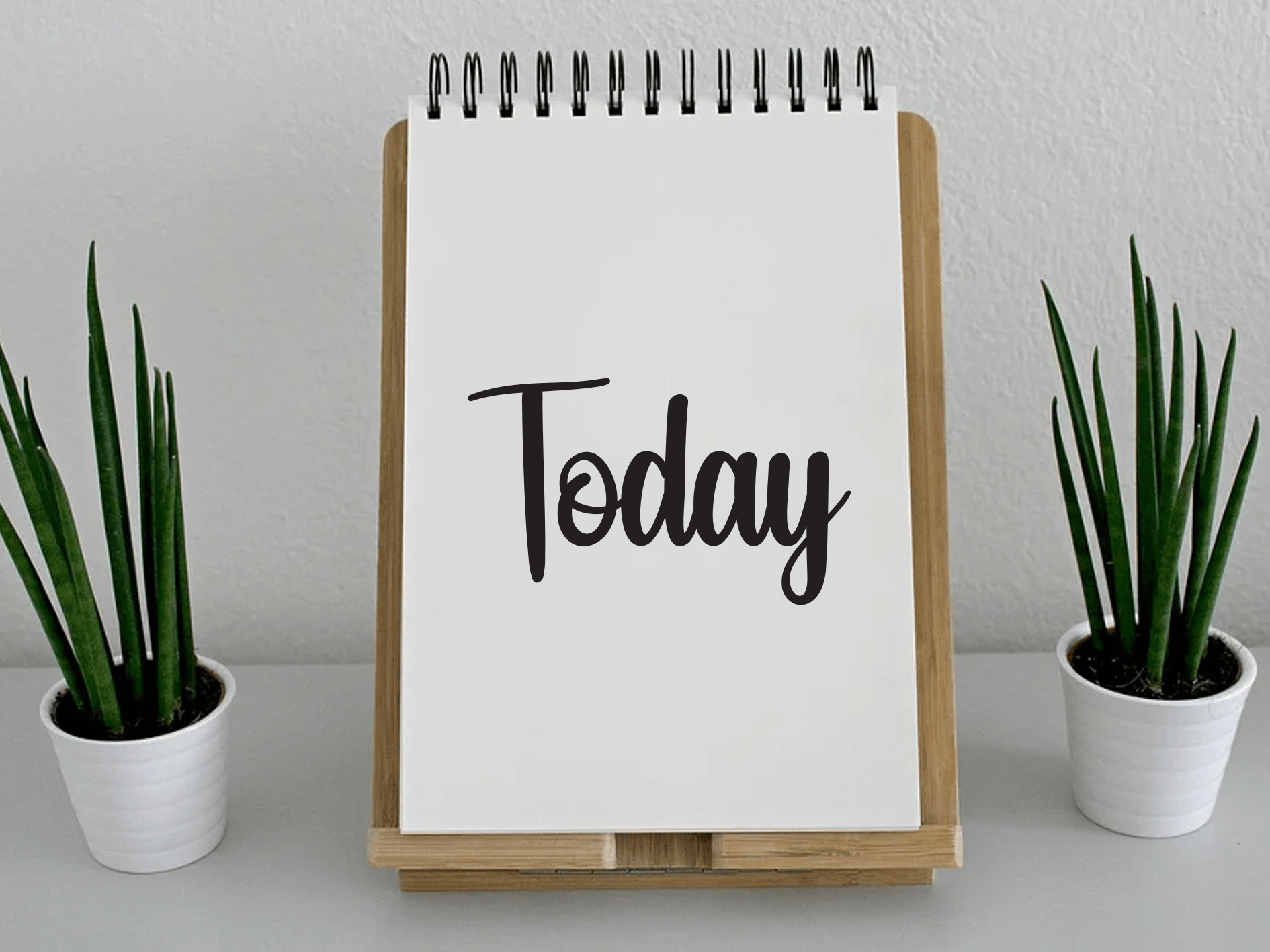 Vacation Script Font preview image 4