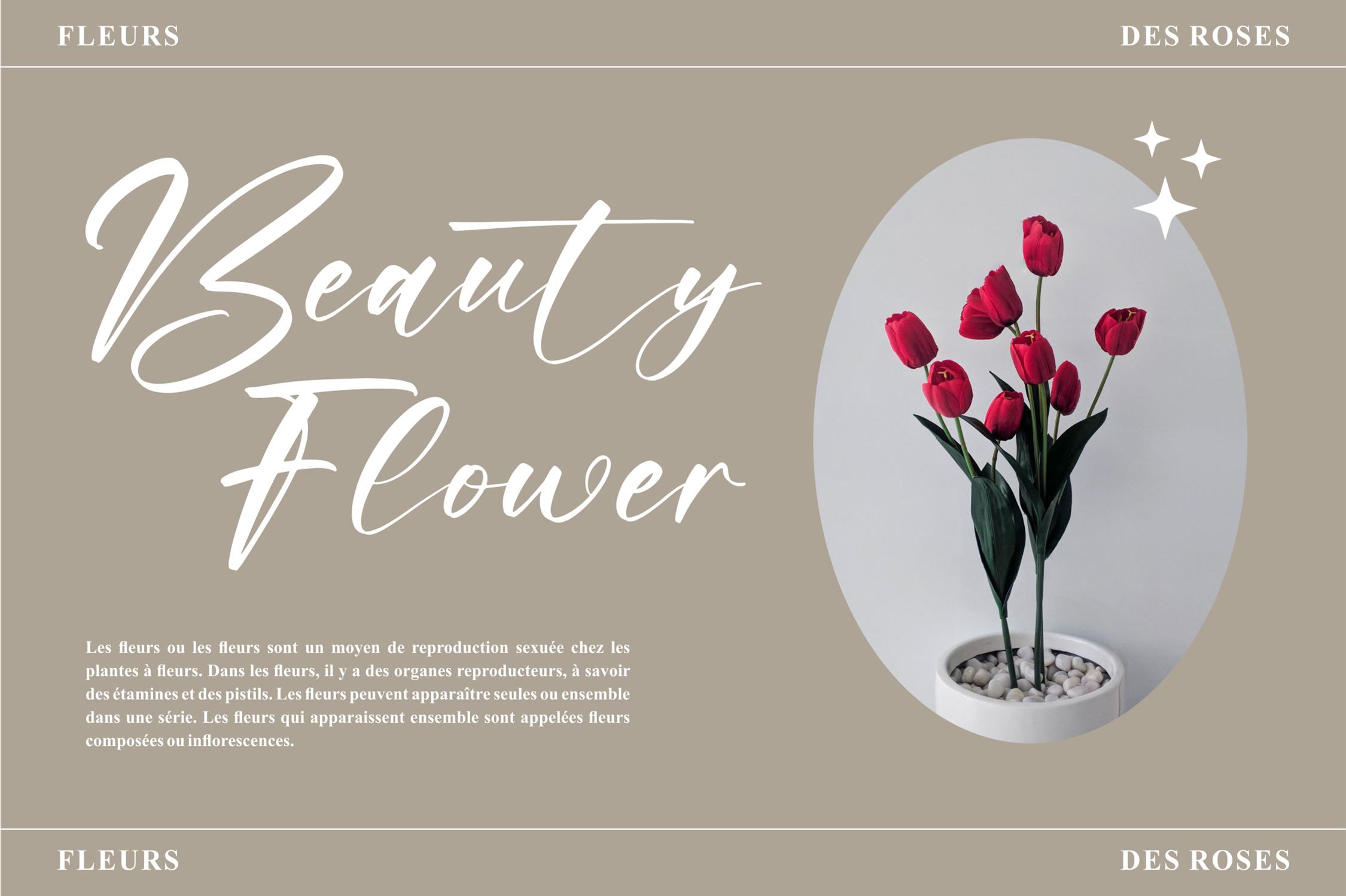 Raylight Font preview image 4