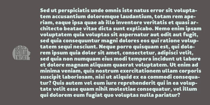 Merlo Neue Font Family preview image 3