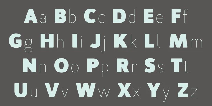 Merlo Neue Font Family preview image 2