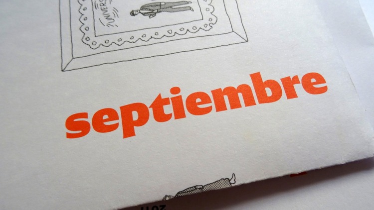 Reforma Font Family preview image 2