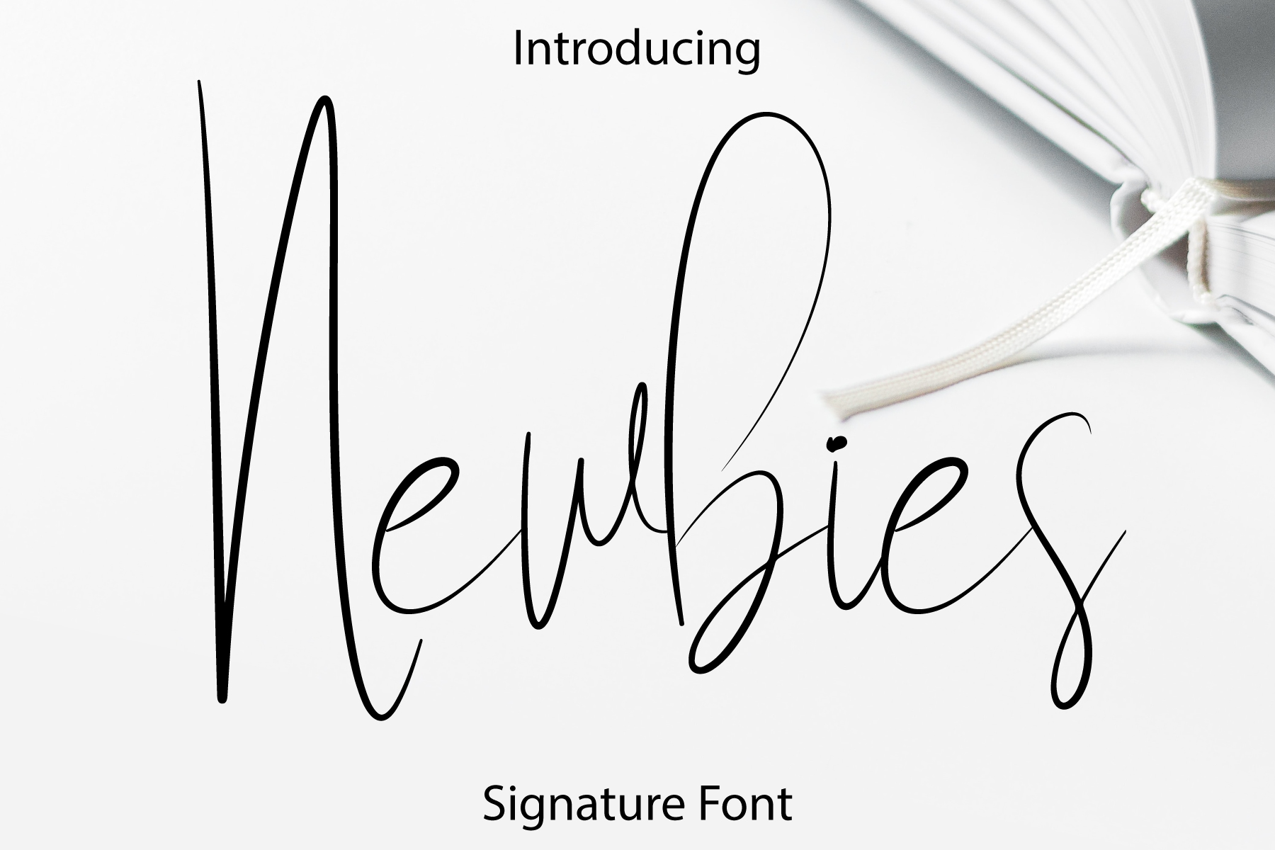 Newbies Script Font