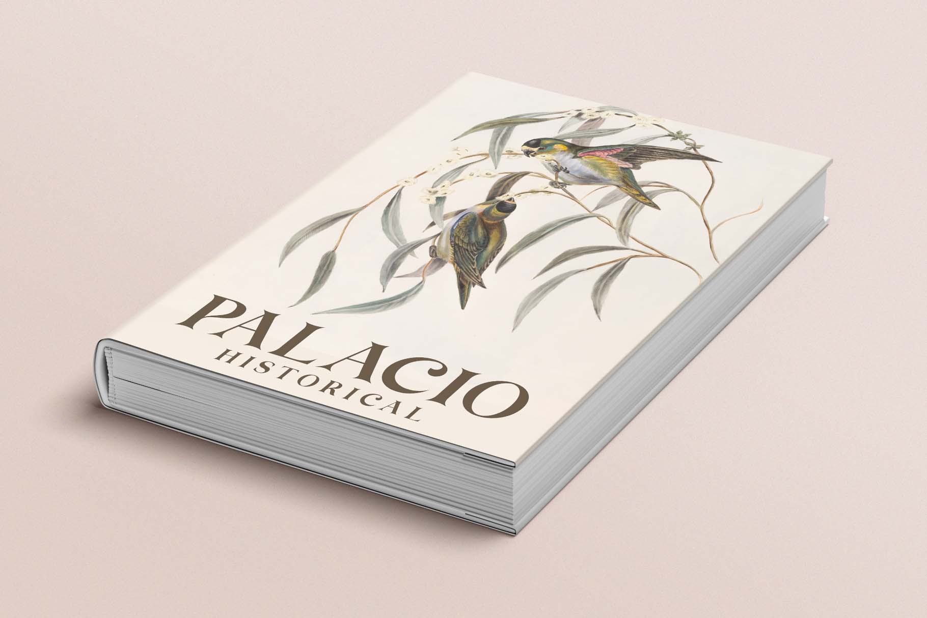 Brown Falco Font preview image 2