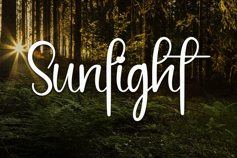 Black Signature Script Font preview image 2