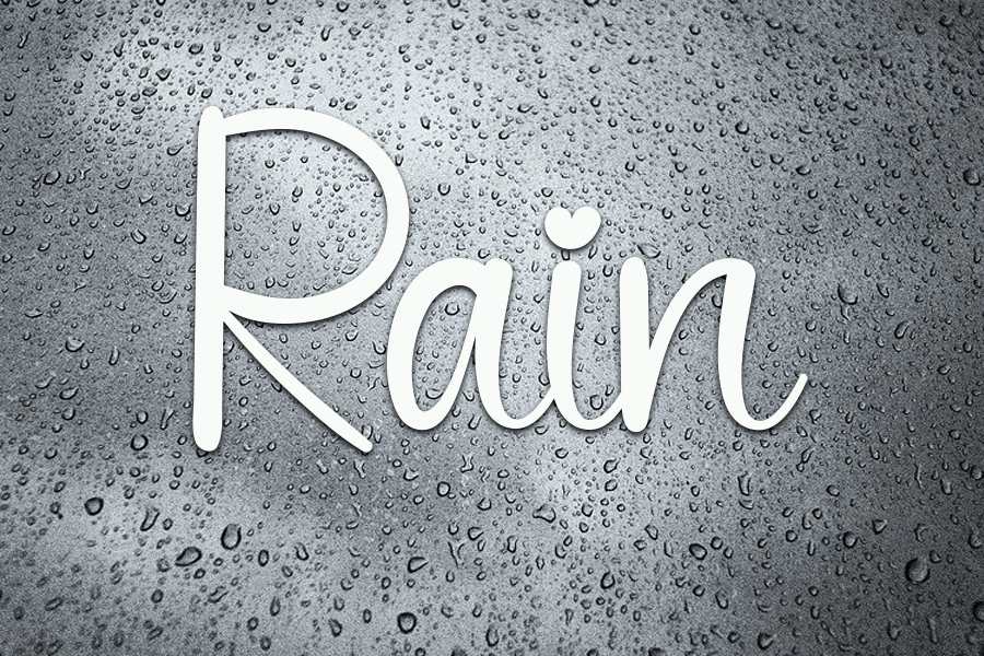 Black Signature Script Font preview image 4