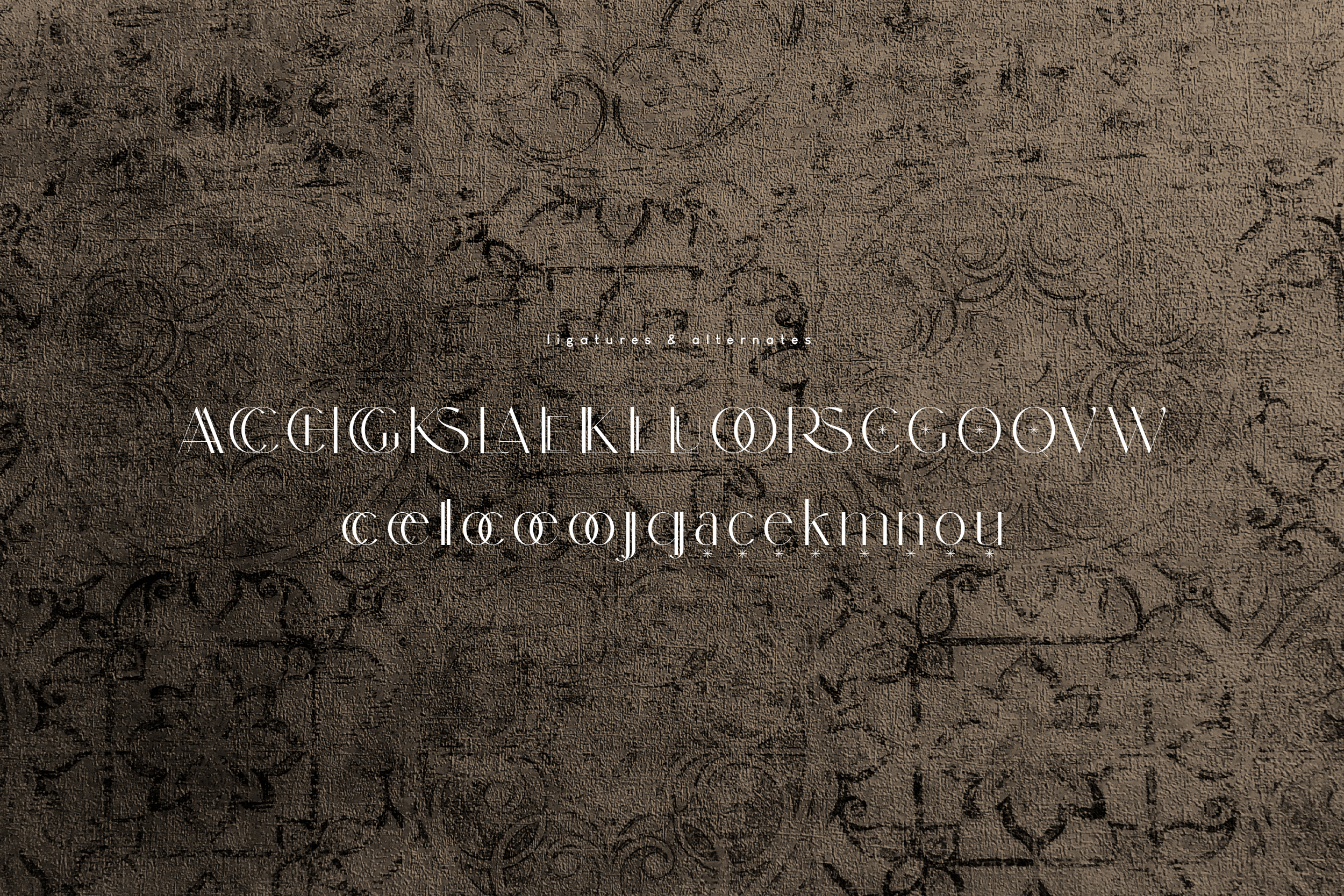 Dolce Gargia Font preview image 2
