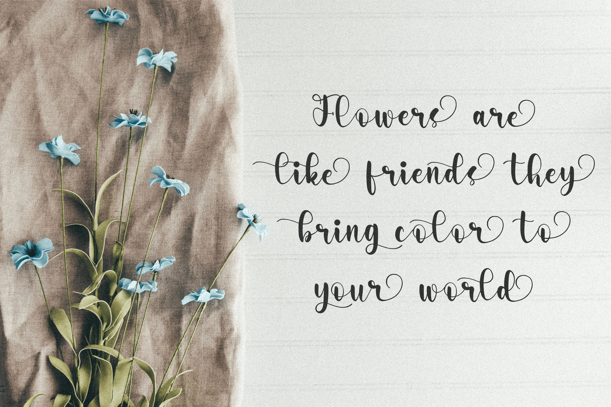 Marjolein Font preview image 4