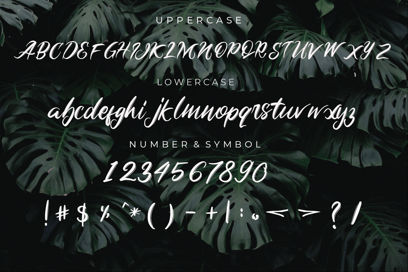Alanglah Font preview image 5