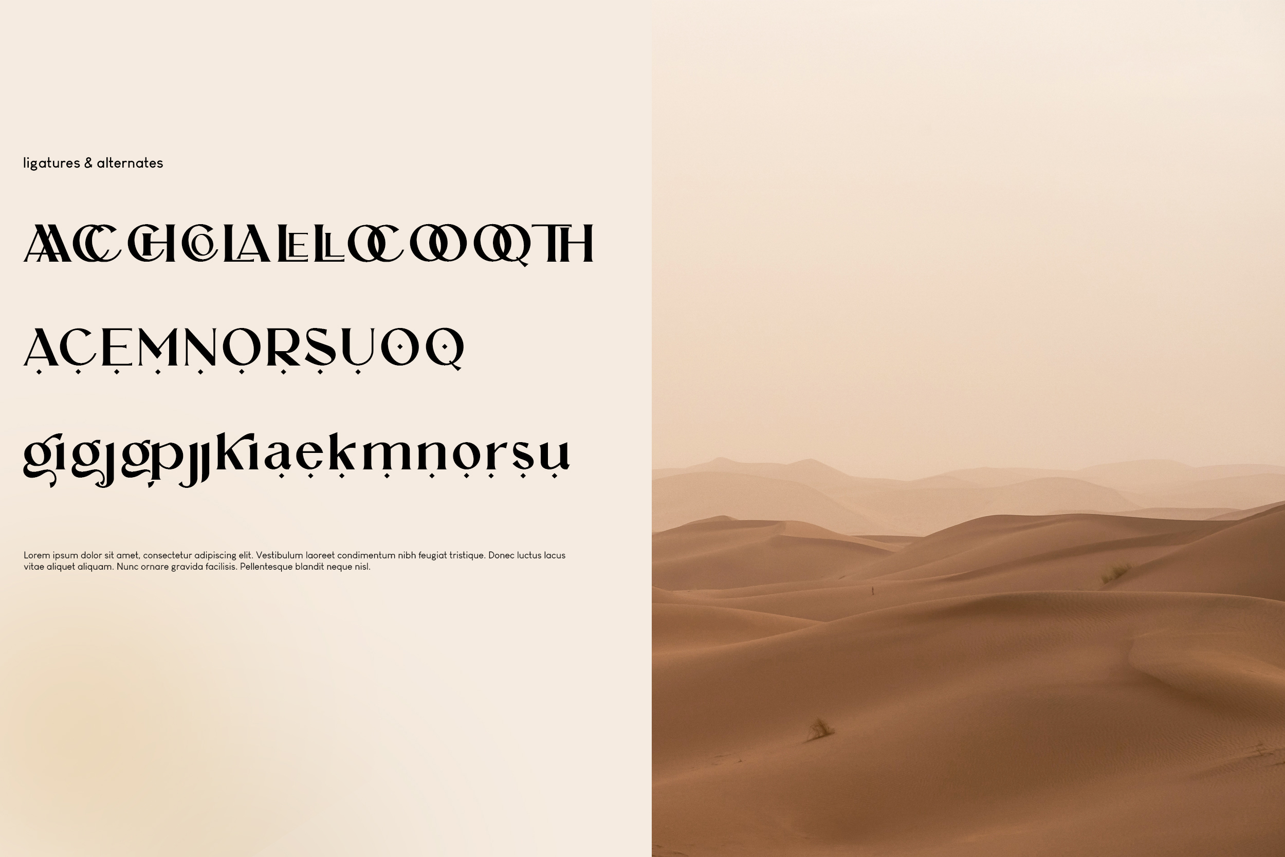 AQRADA Font preview image 2