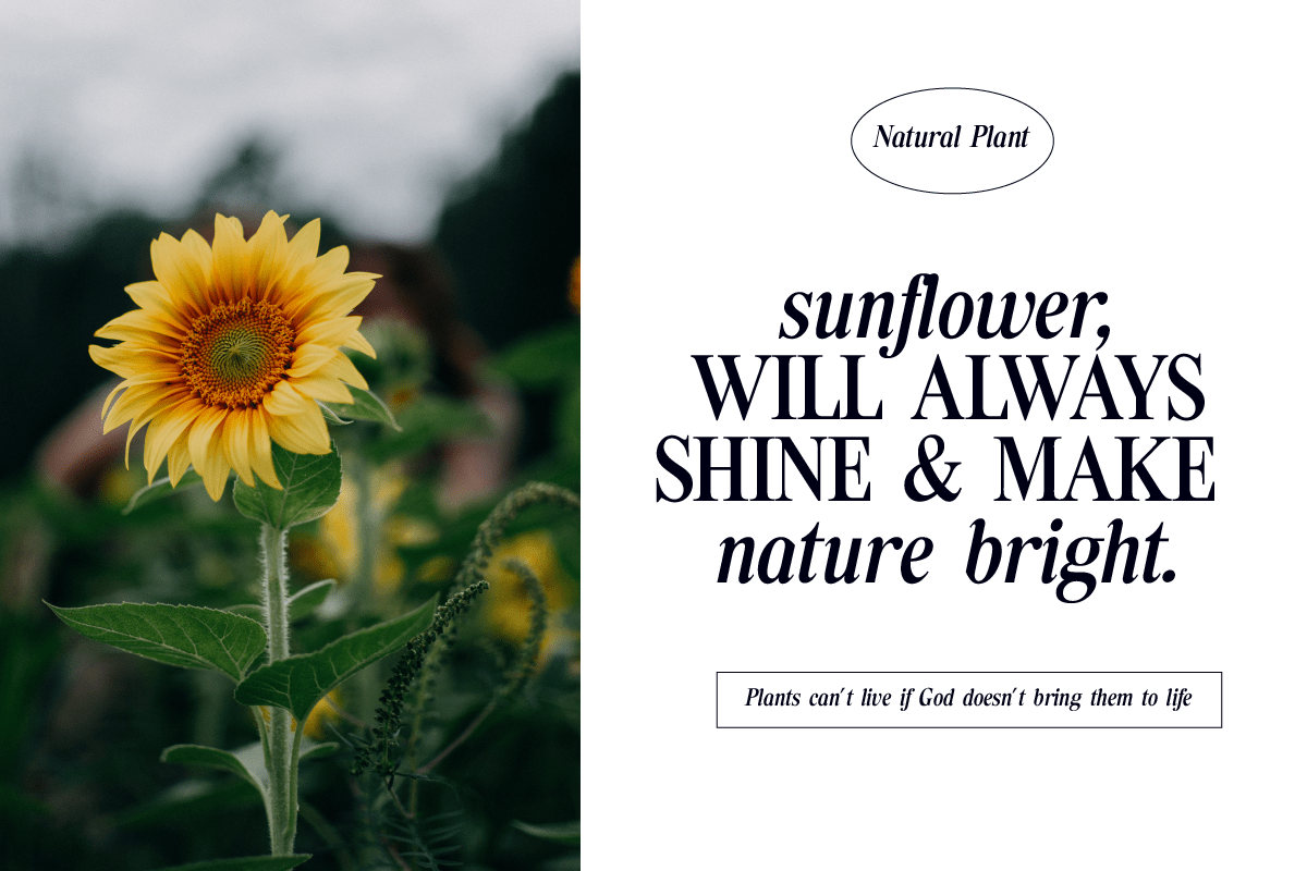 Tiffany Laurence Font preview image 2