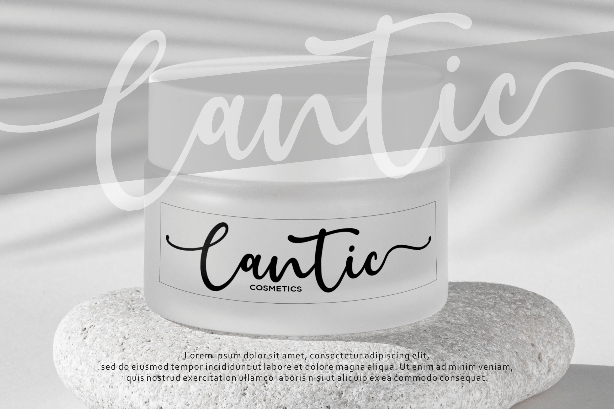 Jeannica Font preview image 3