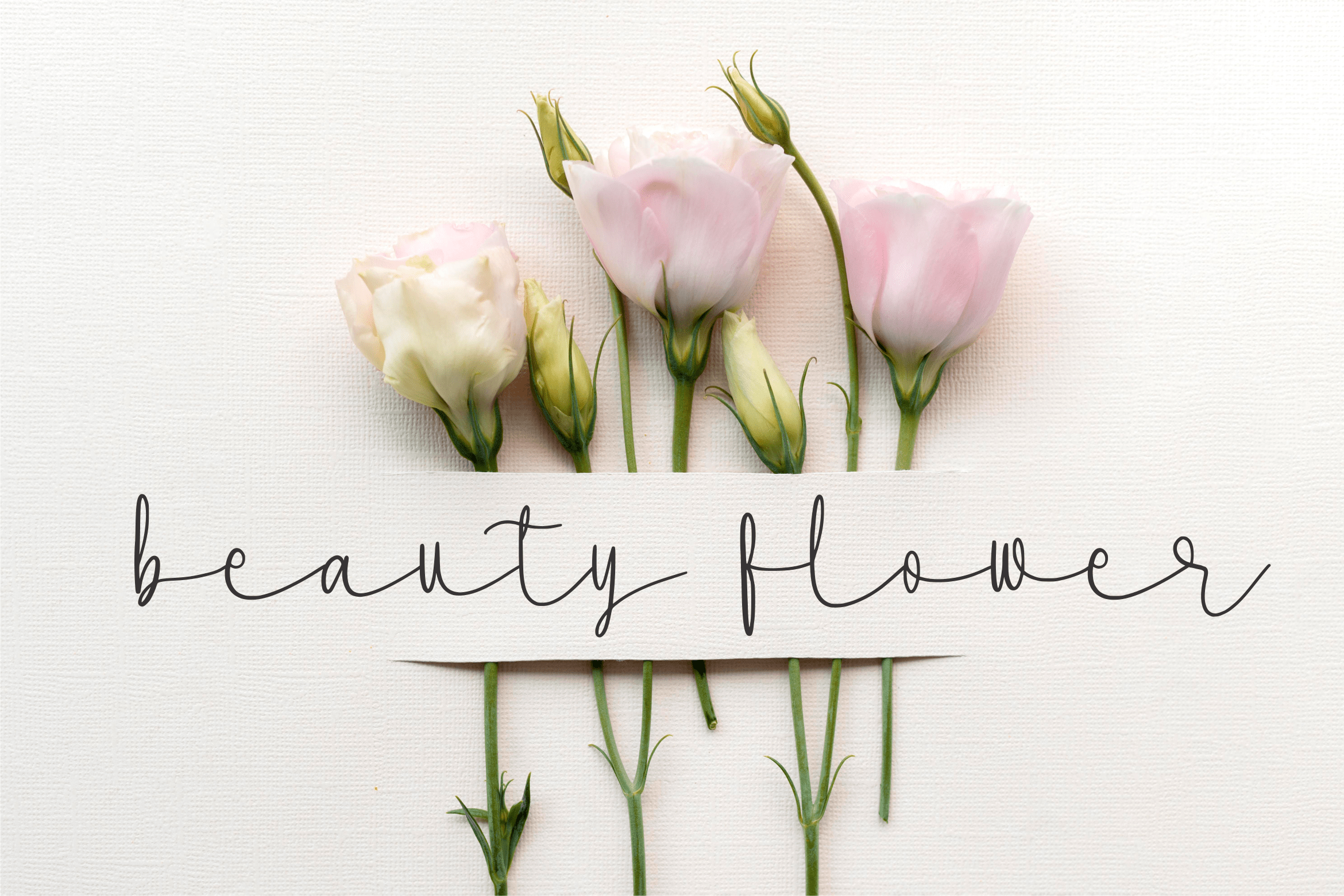 Milanicay Font preview image 4