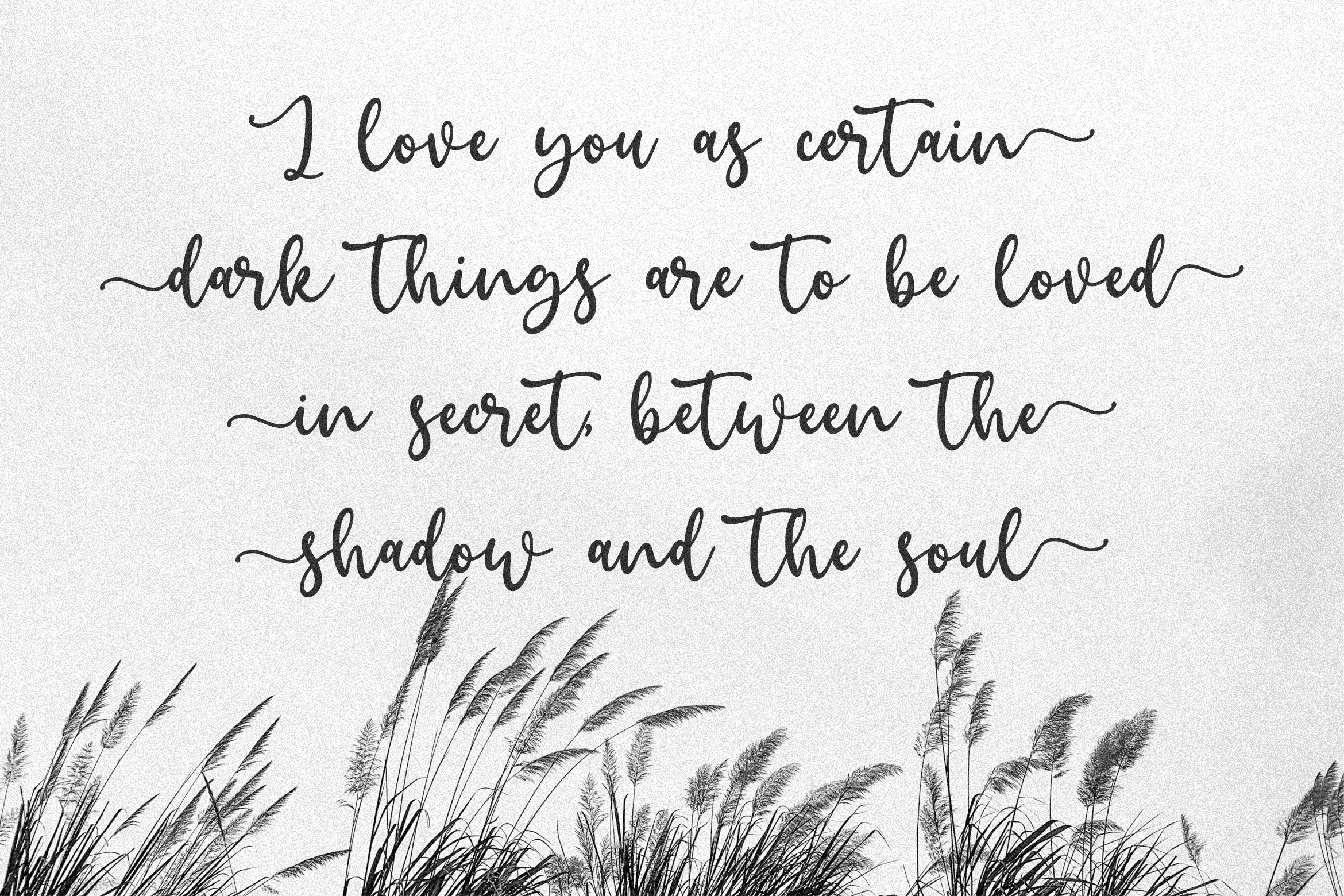 Jeannica Font preview image 5