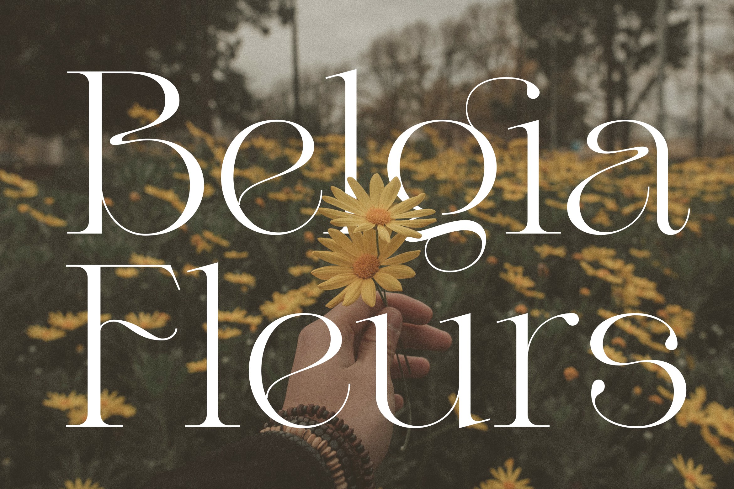 Valery Font preview image 4
