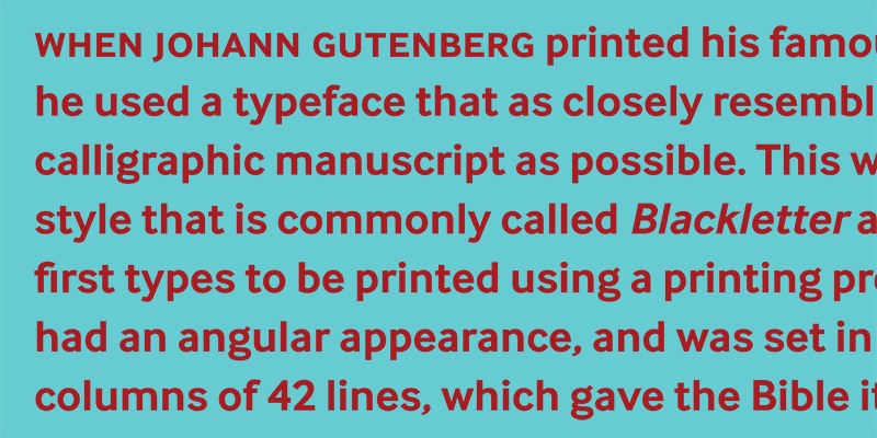 InterFace Font Family preview image 3