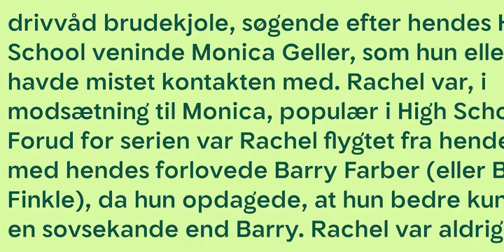 TG Riota Gothic Font Family preview image 3