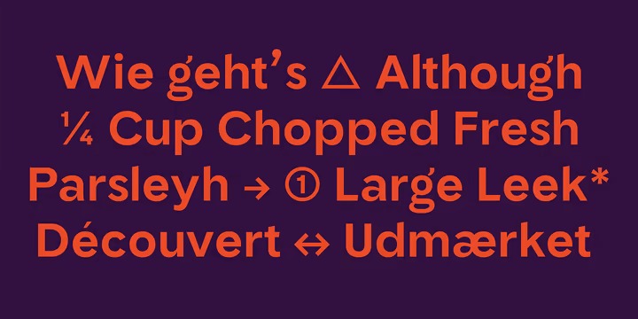 TG Riota Gothic Font Family preview image 2