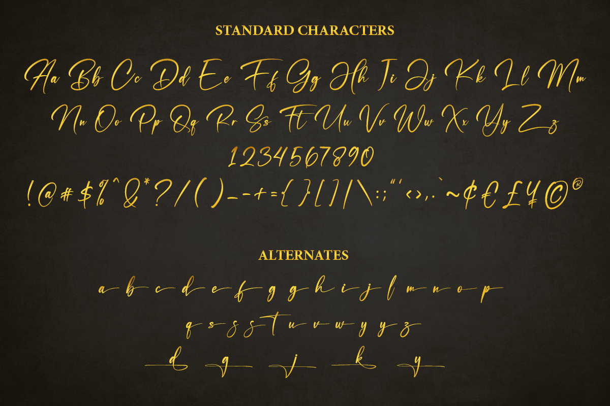 Shiny Sign Font preview image 5