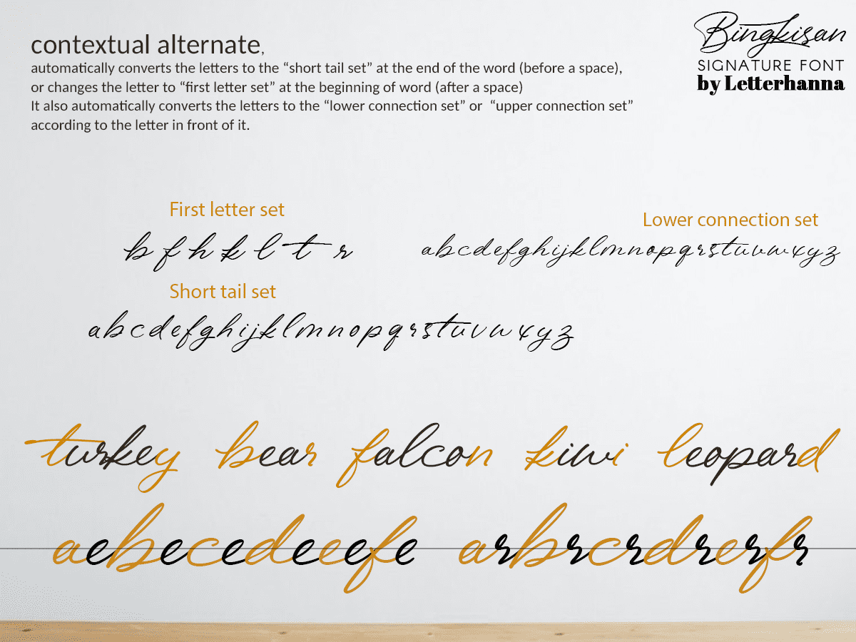 Bingkisan Font preview image 4