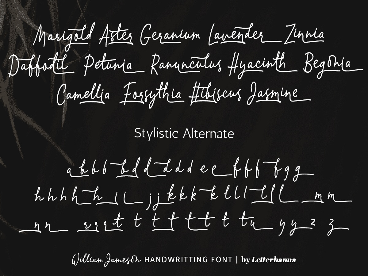 William Jameson Font preview image 3