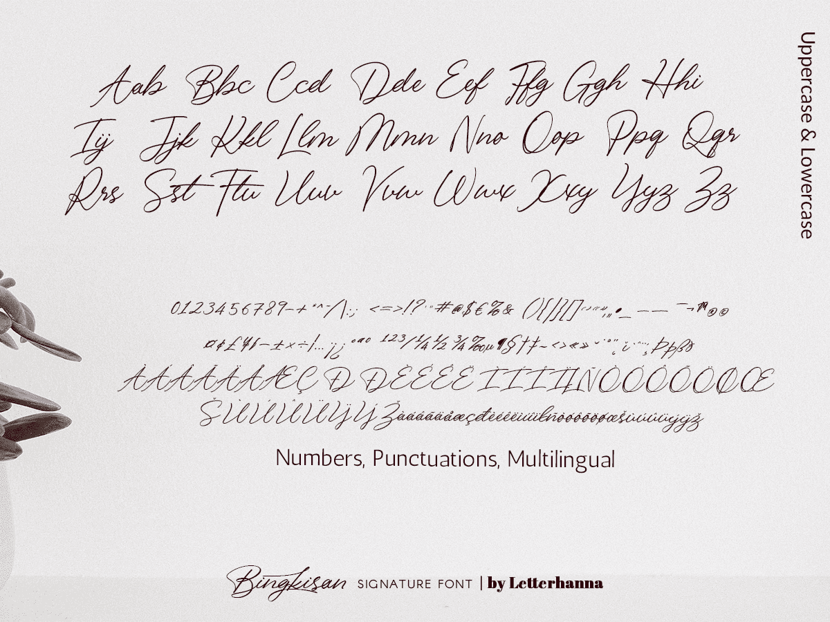 Bingkisan Font preview image 5