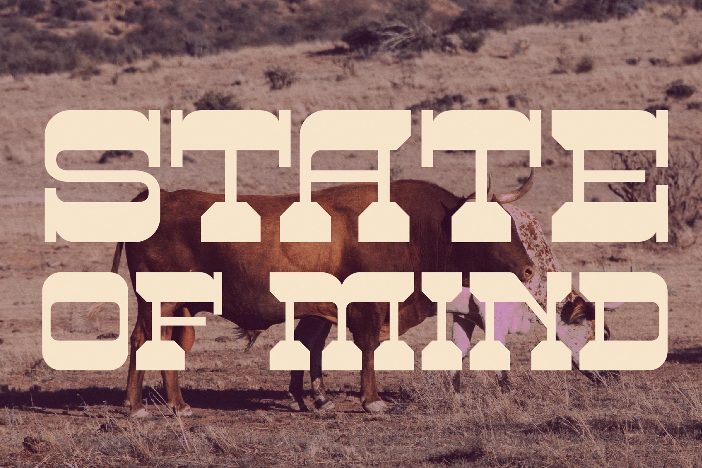 BIG RODHEO Font preview image 4