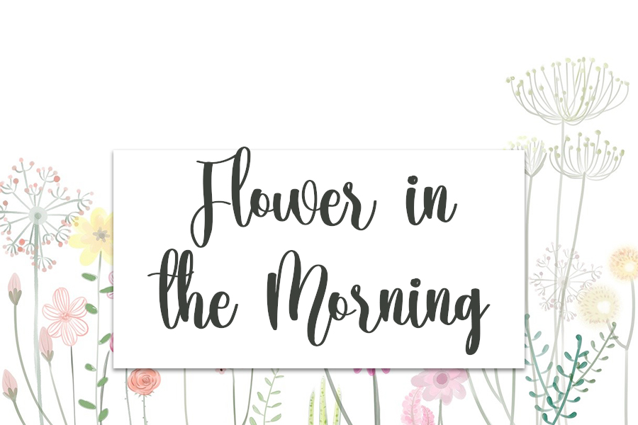 Biscuits Font preview image 3
