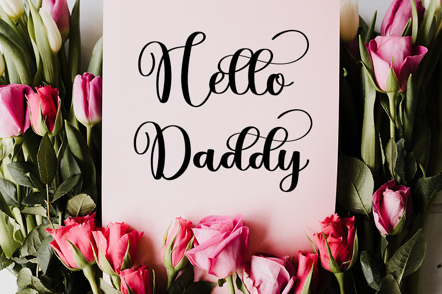 Butterfly Script Typeface preview image 2