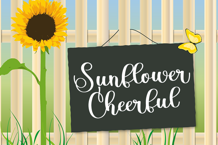 Butterfly Script Typeface preview image 3