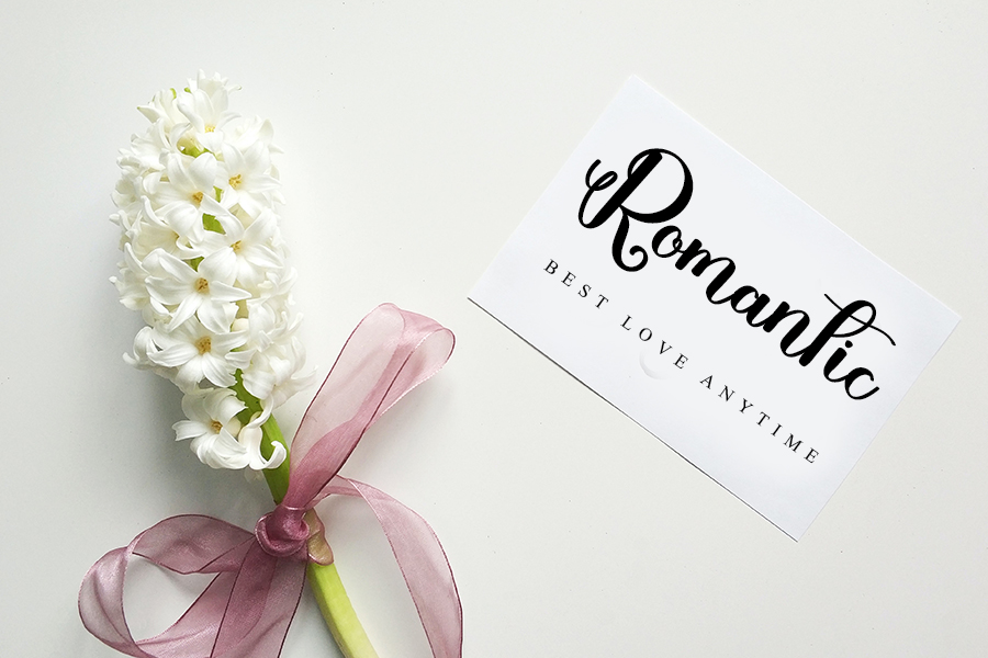 Ladies Font preview image 3