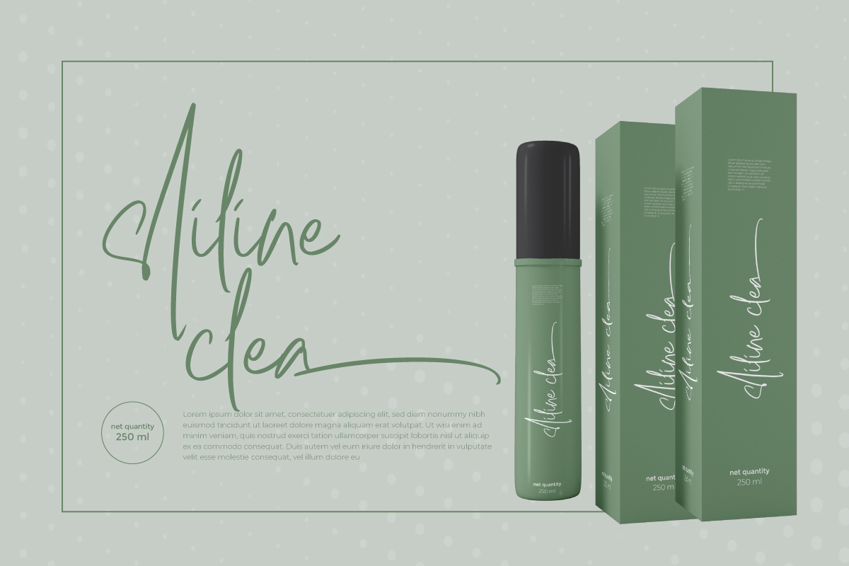 Hulya Script Font preview image 3