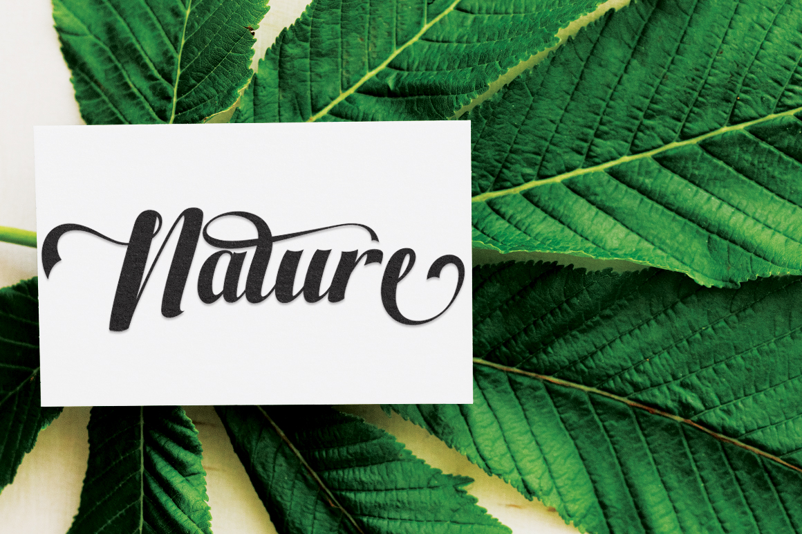 Extra Ordinary Font preview image 2