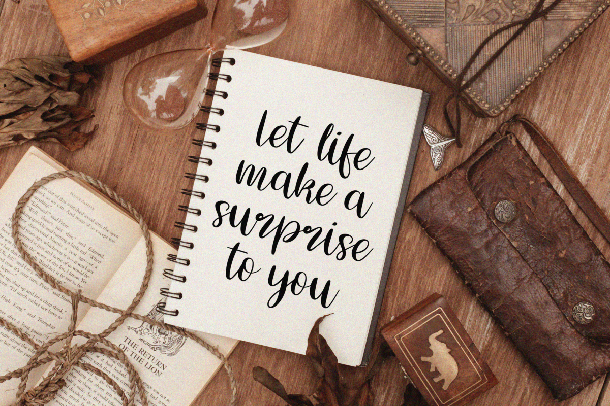 Angelica Script Typeface preview image 3