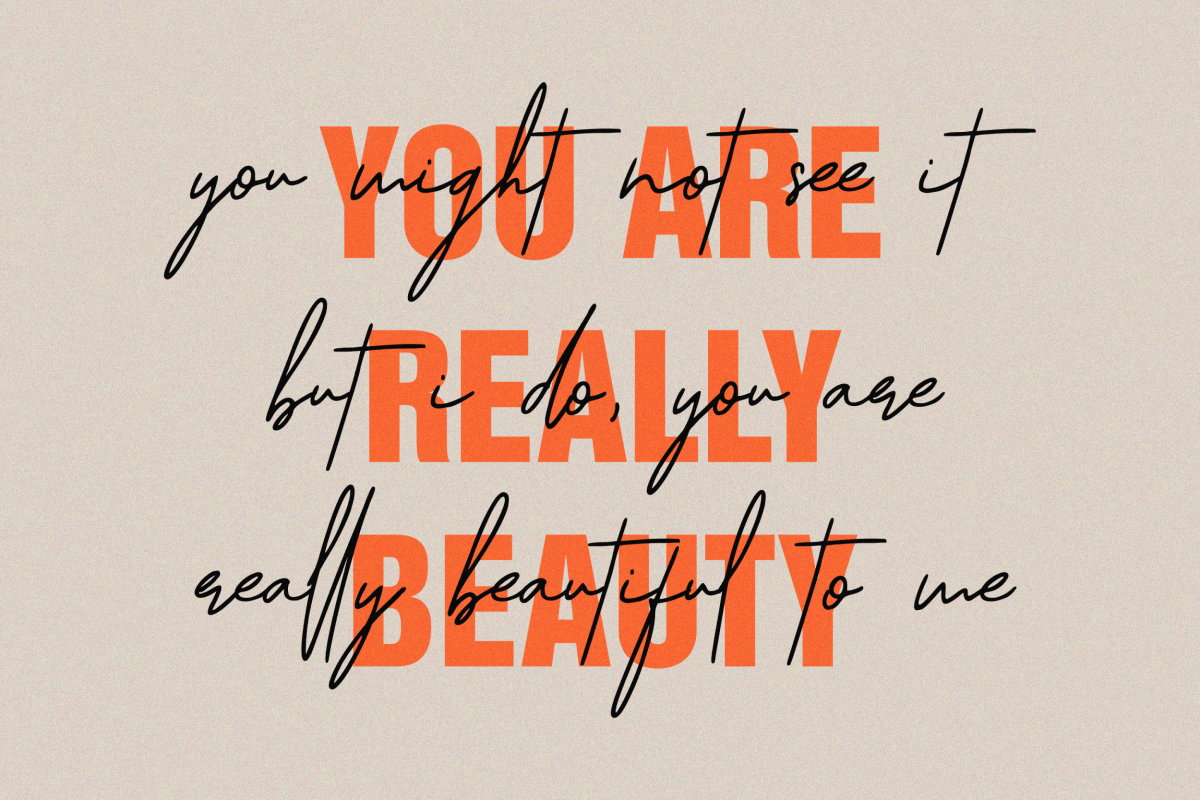 Signature Austine Font preview image 5