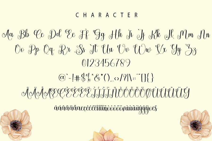 Alinggate Signature Font preview image 3