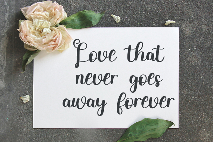April Typeface preview image 4