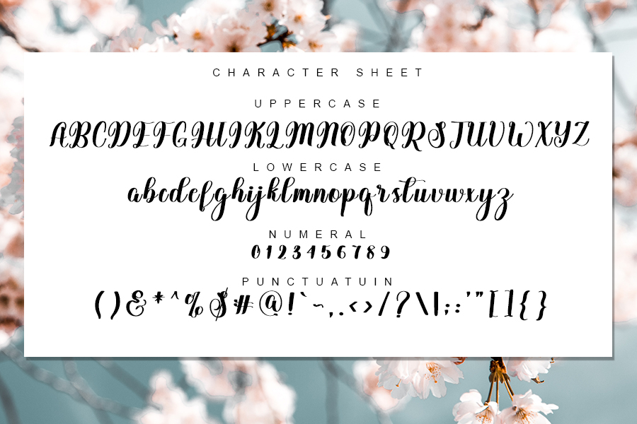 Delysha Script Font preview image 3