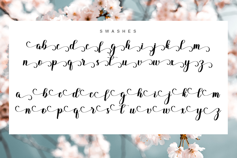 Delysha Script Font preview image 4