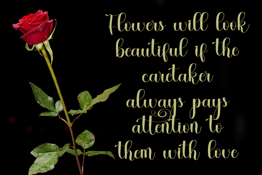 Master Pretties Font preview image 2