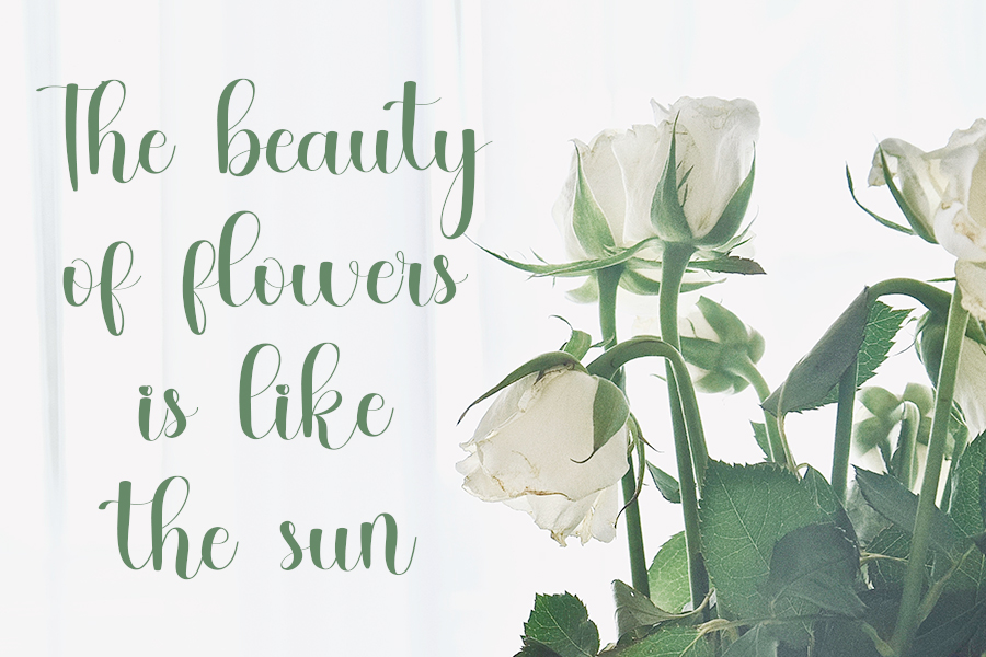 Master Pretties Font preview image 4