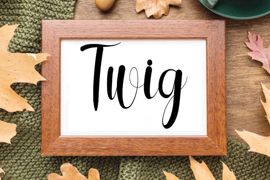 Qualitytime Font preview image 4