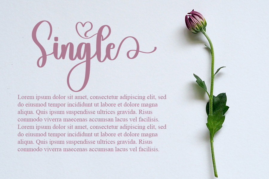 Single Typeface preview image 2