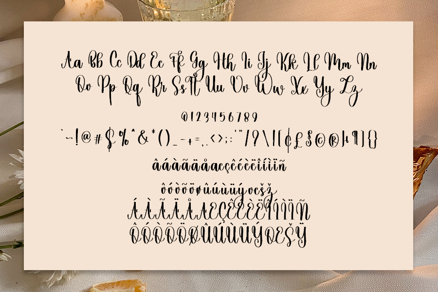 Single Typeface preview image 3