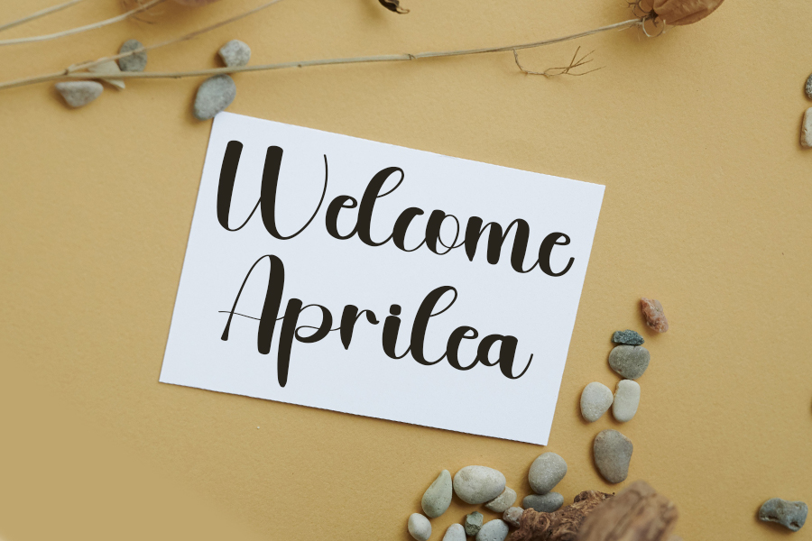 Springs Font preview image 2
