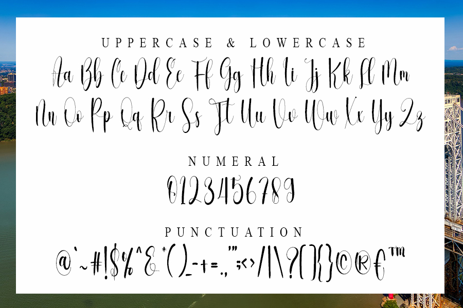 Washington Font preview image 4