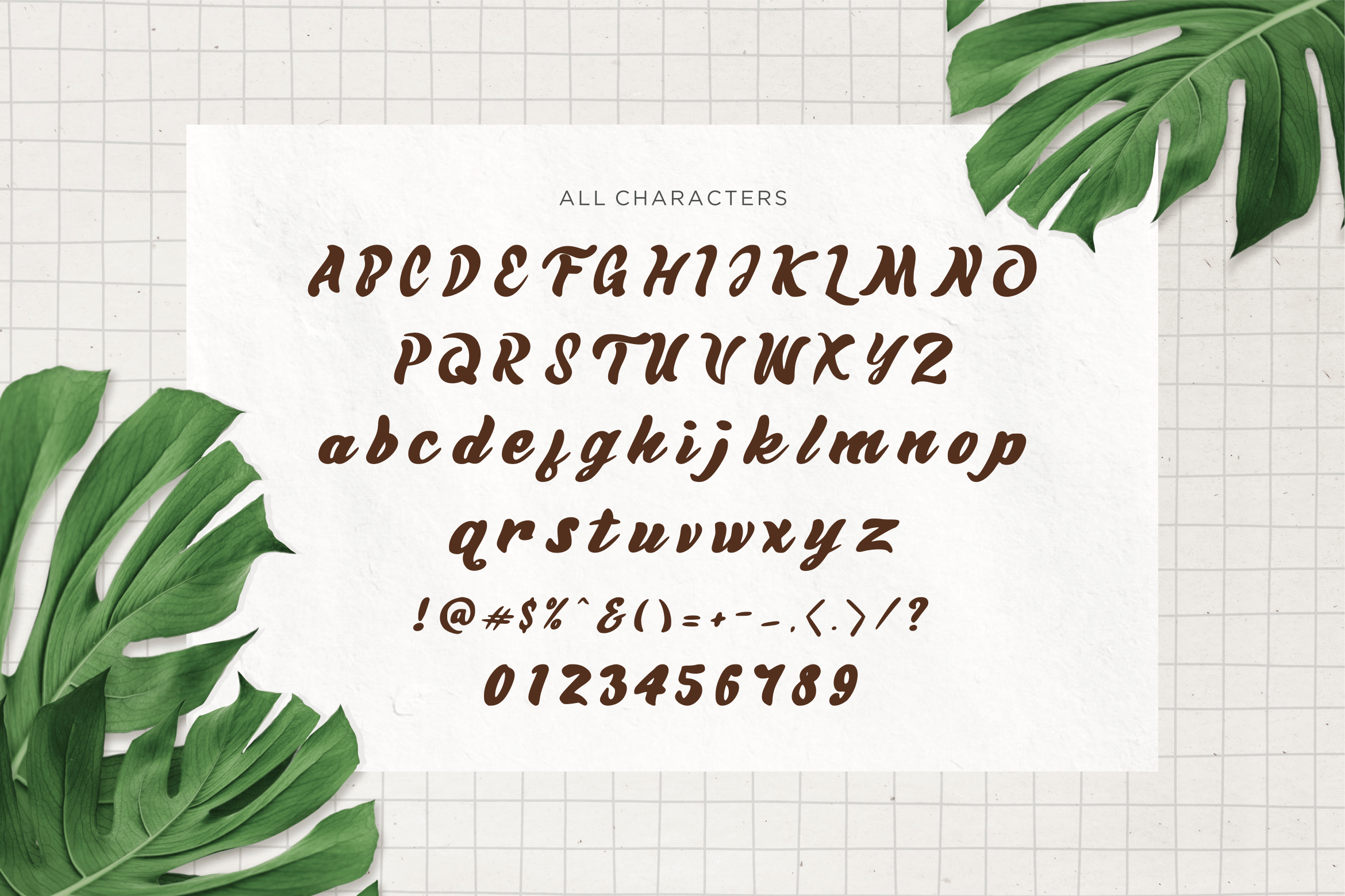 Summeric Font preview image 4