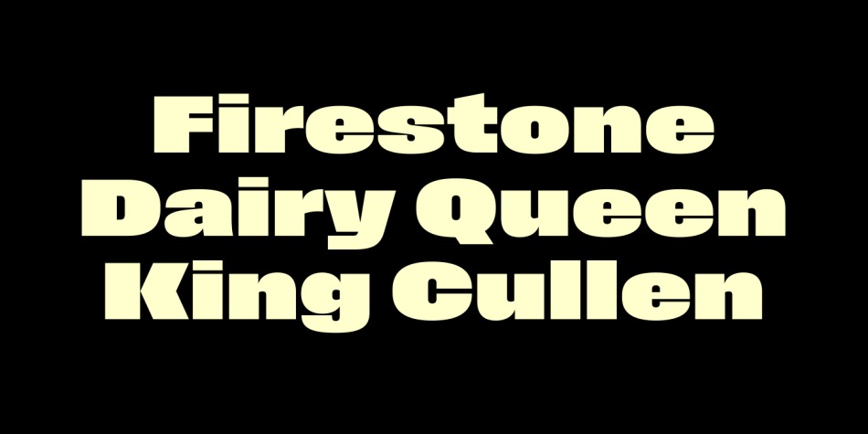 Field Gothic Font Family preview image 3